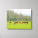 Suche nach kühe leinwandbilder Ranch