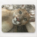Suche nach berglöwe mousepads Katze