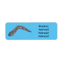 Suche nach moray Eel