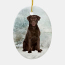 Suche nach schokolade labrador retriever weihnachtsschmuck Haustier