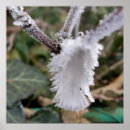 Suche nach feder poster Winter