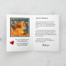 Suche nach rainbow bridge karten Tierverlust