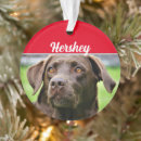 Suche nach labe ornamente Für haustiere