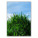 Suche nach pflanzen tischkarten Grün