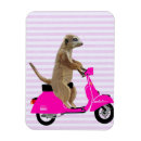 Suche nach moped magnete Zeitgenössisch