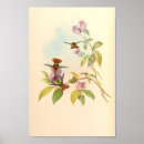 Suche nach vintage bird poster Blume