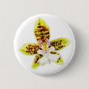 Suche nach orchideen blume buttons Flora