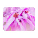 Suche nach hübsche magneten magnete Rosa