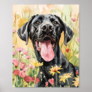 Suche nach great dane poster Großartig