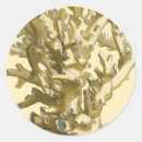 Suche nach rote koralle aufkleber Meer