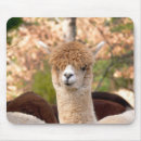 Suche nach alpaka mousepads Für sie