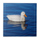 Suche nach ente fliesen Wasser