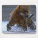 Suche nach grizzlybär mousepads Tierkunst