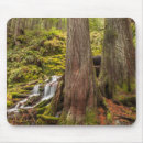 Suche nach oregon mousepads Moos