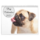 Suche nach mops kalender Welpen