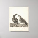 Suche nach rebhuhn poster Illustration