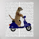 Suche nach moped poster Tiere