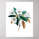 Suche nach rhododendron poster Floral