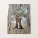 Suche nach griechische puzzle Olivenbaum