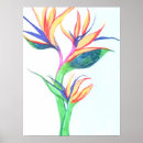 Suche nach drawing poster Plant