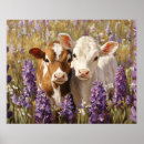 Suche nach kalb poster Kuh