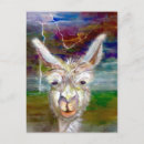 Suche nach alpaca postkarten Niedlich