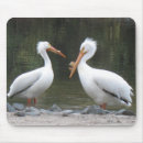 Suche nach pelikan mousepads Vögel