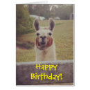 Suche nach lustige lamas postkarten Geburtstag
