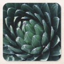 Suche nach agave untersetzer Saftig