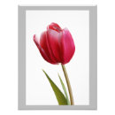 Suche nach heller frühling poster Fotografie