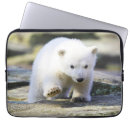 Suche nach cute laptop schutzhüllen Cute baby animal