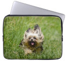 Suche nach yorkie laptop schutzhüllen Terrier