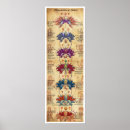 Suche nach chakras poster Kundalini