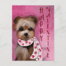 Suche nach yorkie poo postkarten Yorkies