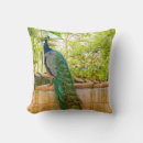 Suche nach pfau kissen Vögel