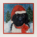 Suche nach über neufundland puzzle Weihnachten