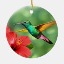 Suche nach kolibrie ornamente Blumig