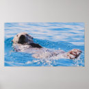 Suche nach sea otter poster Wild