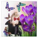 Suche nach osterhase fliesen Frühling