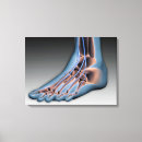 Suche nach menschlicher fuß leinwandbilder Gesundheit