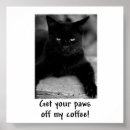 Suche nach funny cat poster Kitty