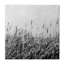 Suche nach dünen fliesen Landschaften