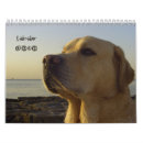 Suche nach labradore kalender Tier