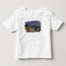 Suche nach pompeji tshirts Vulkan