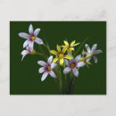 Suche nach augen postkarten Lila