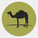 Suche nach camel aufkleber Arabisch