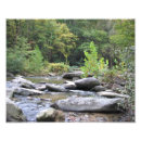 Suche nach wasser pflanze poster Natur