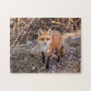 Suche nach fox puzzle Wild