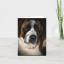 Suche nach st bernard karten Hunde
