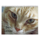 Suche nach humorvoll kalender Katzen